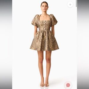 elliatt elara green & pink sateen leopard print fit & flare mini dress small NEW